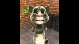 gato cantando funk