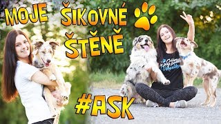 MOJE ŠIKOVNÉ ŠTĚŇÁTKO! | ASK