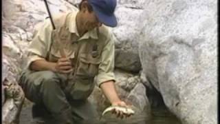 tenkara 2