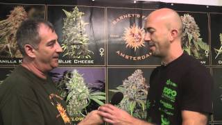 Entrevistamos al representante en España de Barney's Farm, Toni Alzamora