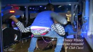 WHAYNY WHAINEY DANCER.