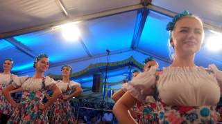 Истринский духовой оркестр им. Романа Олексюка и ансамбль мажореток