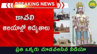 కావలి ఆలయాల్లో అద్భుతాలు |Kavali all Temples| kavali BREAKING NEWS #nakavaliupdates