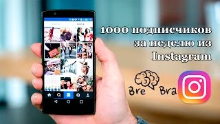 1000 Подписчиков из Instagram за 1 неделю // BreBra ( БреБра )
