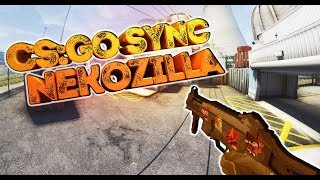 CS:GO SYNC | Different Heaven – Nekozilla