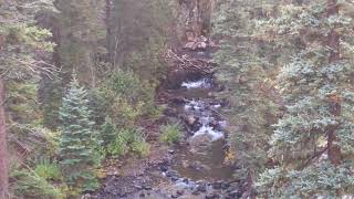 IMG 4186