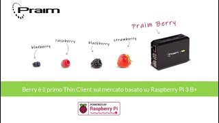 Praim Berry, il Thin Client che rivoluziona il tuo investimento Citrix HDX