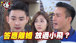 《多情大爆爆》多情城市 EP286 答應離婚 放過小飛？