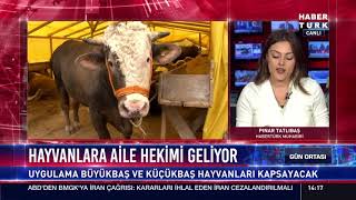 Hayvanlara aile hekimi geliyor