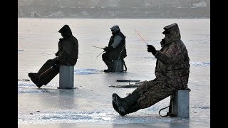 Как и на что ловить бёрша зимой? Секреты ловли бёрша!