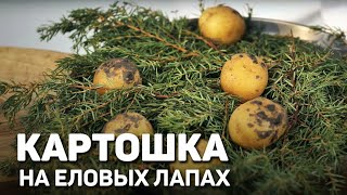КАРТОФЕЛЬ НА ПИХТЕ - праздничное блюдо из картофеля от шеф повара Станислава Песоцкого