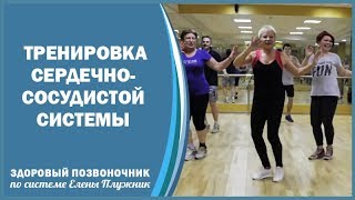 Тренировка сердечно-сосудистой системы. Фрагмент из 3 курса комплекса "Остеохондроз, сколиоз, кифоз"