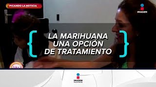 Usos medicinales de la marihuana | Sale el Sol