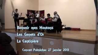 Mes Moutons, les genets d'or, la cantinière