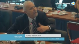 Debate sobre la despenalización aborto en Diputados - 17-04-18 (1 de 2)