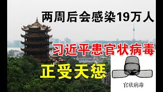 政论：新冠肺炎两周后会感染19万人、习近平患官状病毒正受天惩（1/26）
