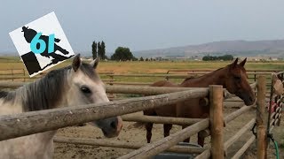 BRL Ep 61: Melting in Oregon