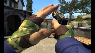 Hand Wraps | Arboreal Factory New Showcase