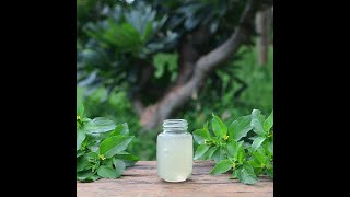 100% Pure Thick Homemade Aloe Vera Gel | Exactly Like Store Bought!