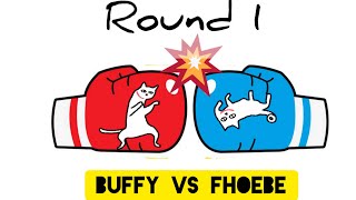 Real cat fight | Buffy VS Phoebe | Кошачі бої | Кошачьи бои