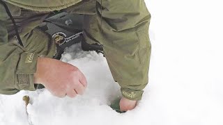 РЫБАЛКА 2020. ПЛОТВА КАК КАРАСЬ!.. МОЯ ЛУЧШАЯ РЫБАЛКА НА БЕЗМОТЫЛКУ