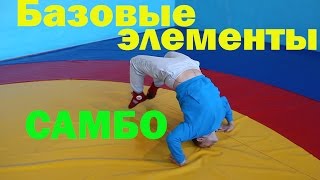 Тренировка самбо - промокашка, маятник, забегания и кувырок через живот   базовые элементы разминки.