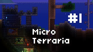 Micro Terraria World - Custom Map #1