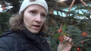 Гуляем по городу / Bank Holiday (выходной)