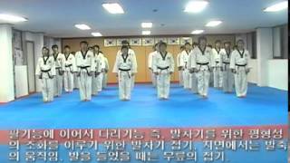 TÉCNICAS PARA ENSEÑAR POOMSAE, Club Deportivo Ilyeo - Kwan..