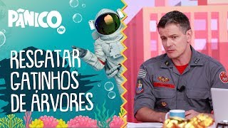 Bombeiro resgata GATINHOS de árvores? Capitão Palumbo explica