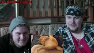 Funny Animal Fails 2016 Animal Compilation REACTION! by Two Random Auzzies.