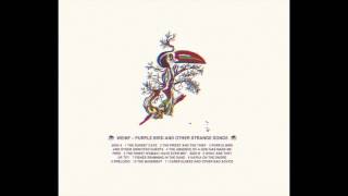 Weinf - Purple Bird and Other Strange Songs (Full Album)