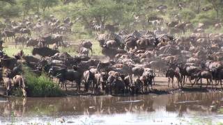 EPIC AFRICA: Family Safari to Tanzania June 2010