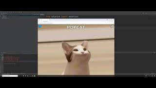 Basic web scraping [Python] EP.5 ทำ bot click popcat ด้วย selenium