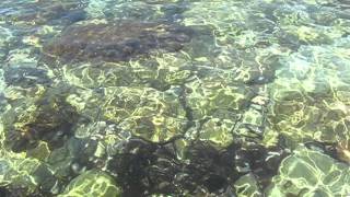 Вилла Mare Mar  обзор территории и пляжа