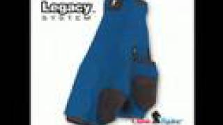 Top 4 Protective Splint Boots for Your Horse