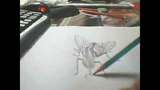 [3D] Объемный рисунок в карандаше