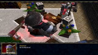 Warcraft III «У психиатра»