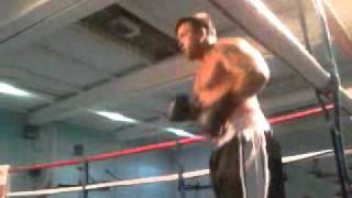waz vs taz k/o