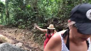 Walking up to Biausevu Waterfall, Viti Levu, Fiji