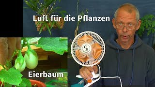 Neuer Wind im Kanal für die Pflanzen