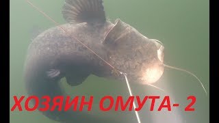 Нашел Большого Сома в маленькой речушке!!!Подводная охота 2020