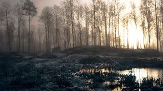 RPStalker: «Периметр во Мгле» Чужой. (Ч.4) Пора сваливать