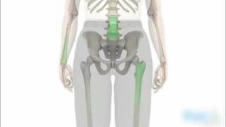 OSTEO D3