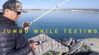 JUMBO Spotted Bay Bass while Texting