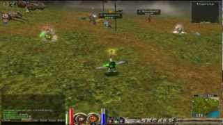 Bee° Archer 11x Priston Tale - Migal