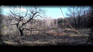 Шиханы - Вольск 18, лес первые дни после зимы часть №1