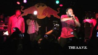 BIG DADDY KANE performs Live in Brooklyn!!!!