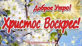 Со Светлым Праздником Пасхи! Доброе Утро! Счастья! Здоровья! Радости! Божьей Любви!