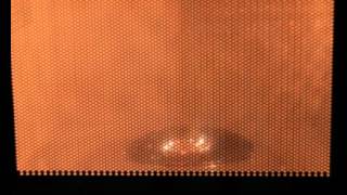 DVD au micro-ondes